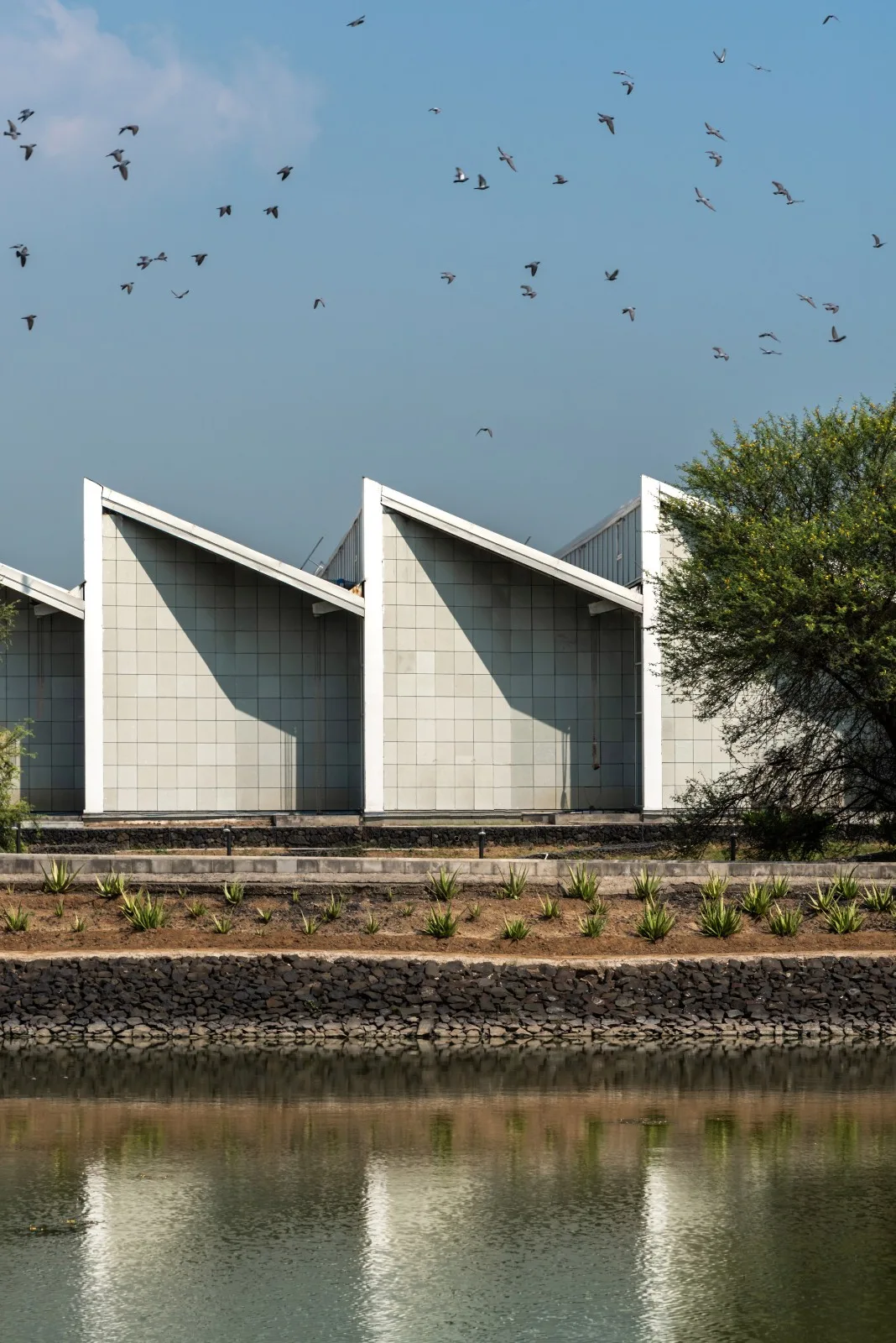 BIM Architecture | Order Castle, Sanand Factory/Studio Saar