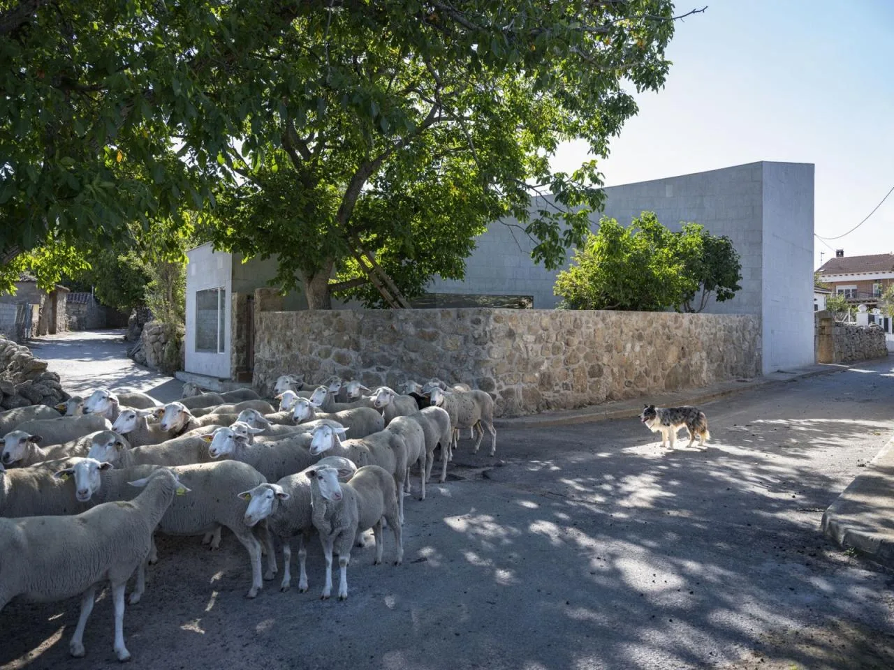 BIM Architecture | Nogal Home/Ra ú l Almenara