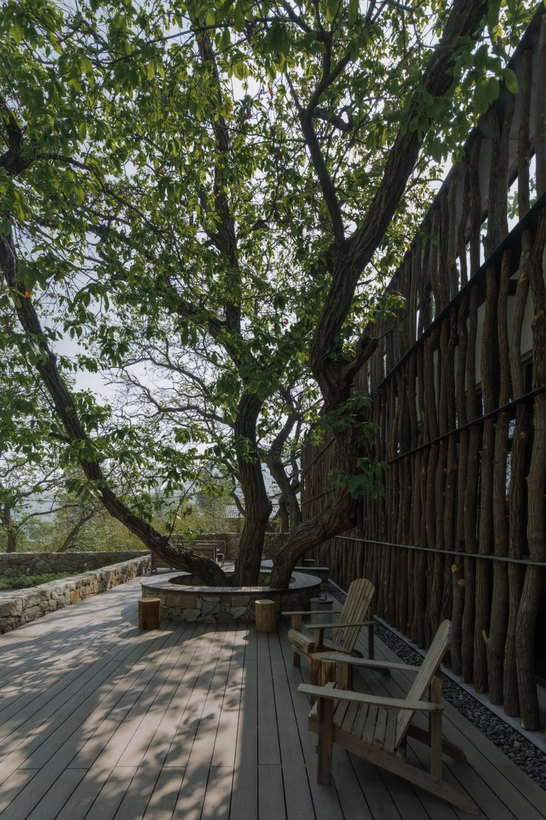BIM Architecture | Yimeng Book House Homestay: Natural Reconstruction and Symbiosis under Chestnut Grove/Grey Space Architecture Firm