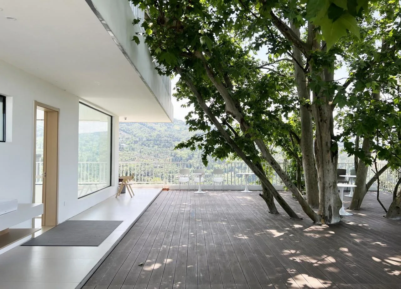 BIM Architecture | Yuntai Yueye: Floating Homestay/Iwakawa Architecture Design in Tea Fields
