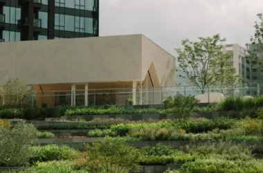 Snohetta Unveils 'Green Lung' Urban Farm in Hong Kong with BIM Architecture-BIM WORLD