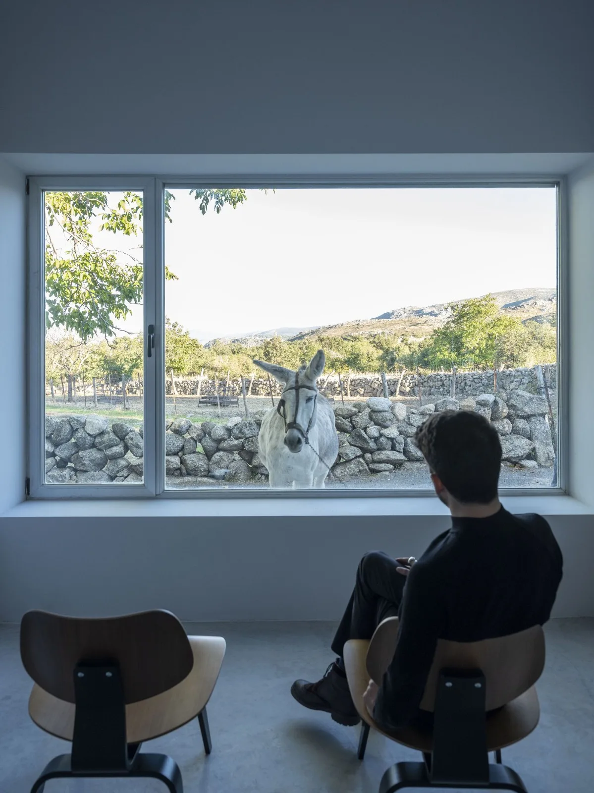 BIM Architecture | Nogal Home/Ra ú l Almenara