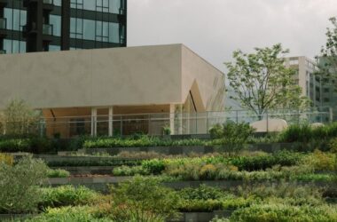 Snohetta Unveils 'Green Lung' Urban Farm in Hong Kong with BIM Architecture-BIM WORLD
