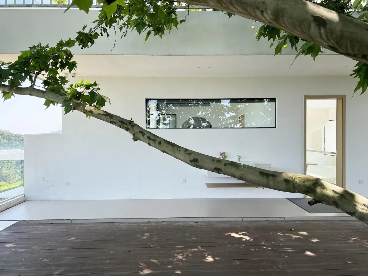 BIM Architecture | Yuntai Yueye: Floating Homestay/Iwakawa Architecture Design in Tea Fields