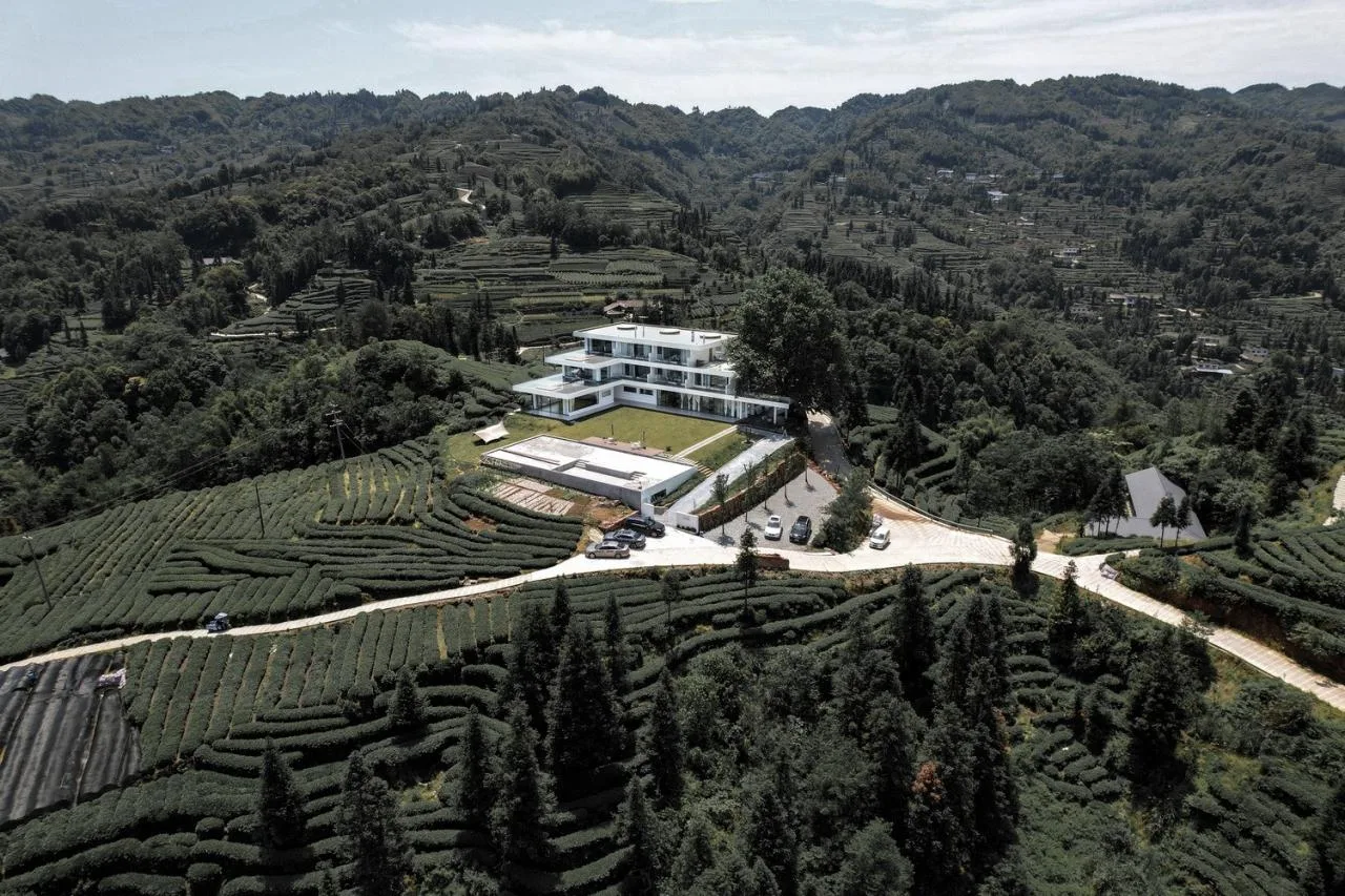 BIM Architecture | Yuntai Yueye: Floating Homestay/Iwakawa Architecture Design in Tea Fields