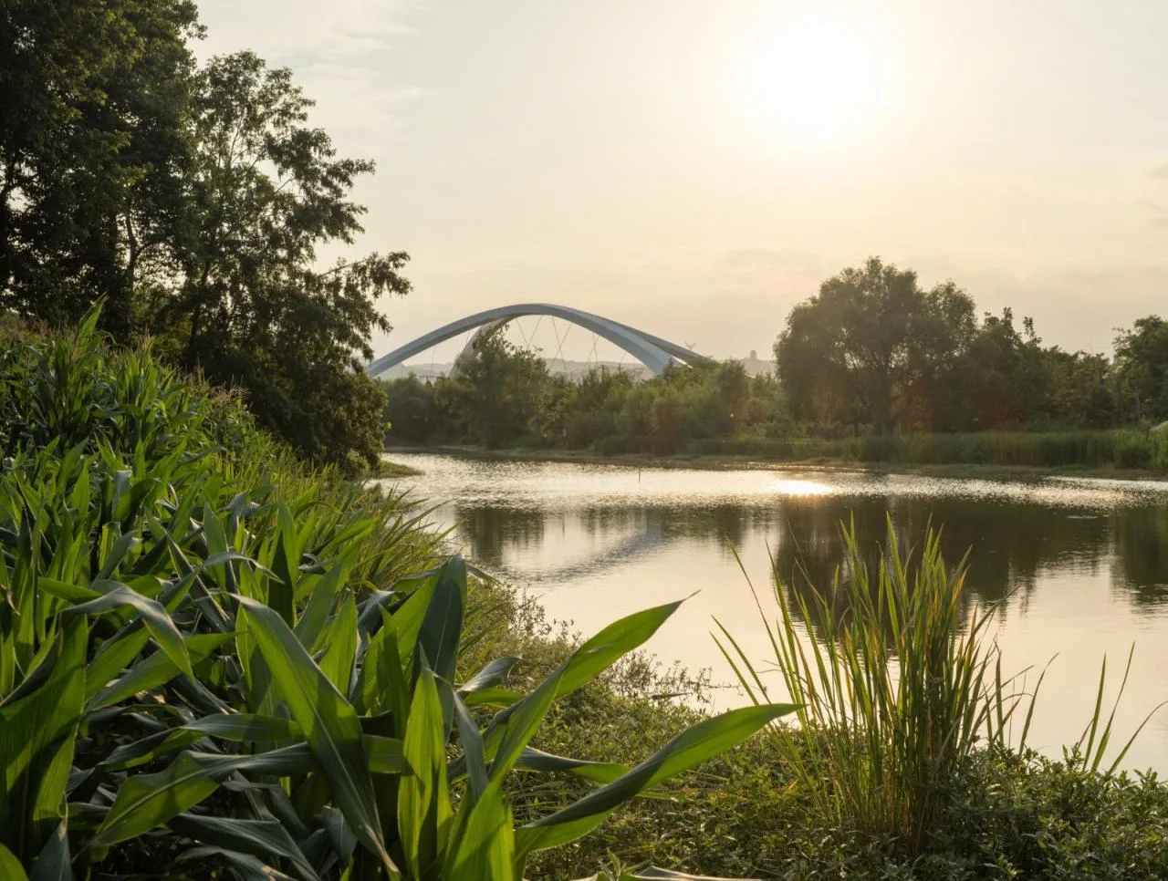 BIM Architecture | Jiangxi River Bridge/Zaha Hadid Architects
