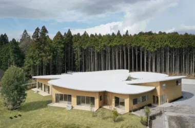 BIM Architecture: Children's Forest Nursery by Yamashita Guicheng Design-BIM WORLD