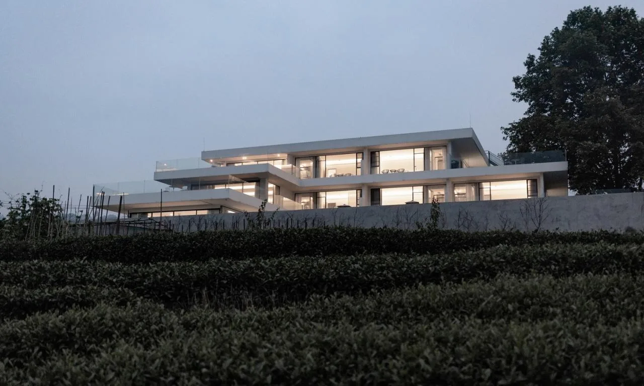BIM Architecture | Yuntai Yueye: Floating Homestay/Iwakawa Architecture Design in Tea Fields