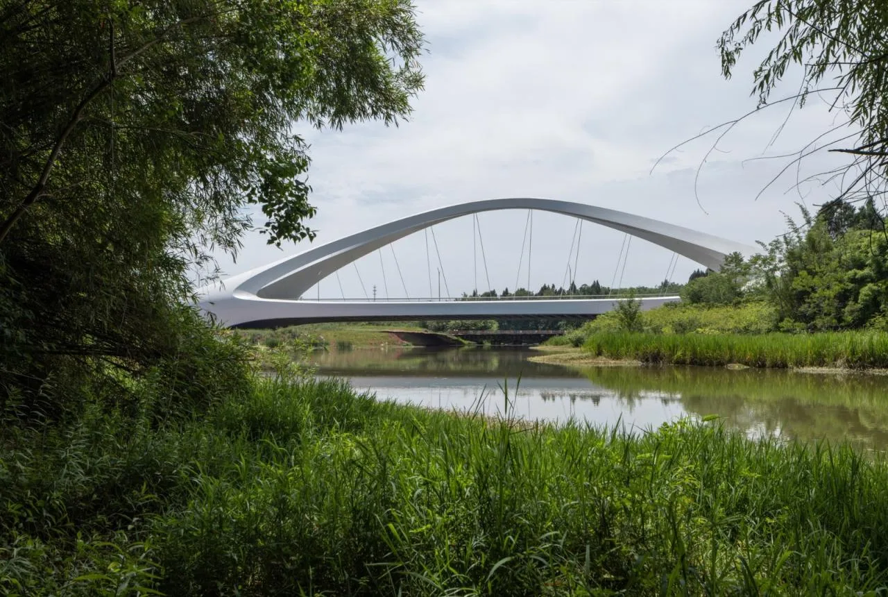 BIM Architecture | Jiangxi River Bridge/Zaha Hadid Architects