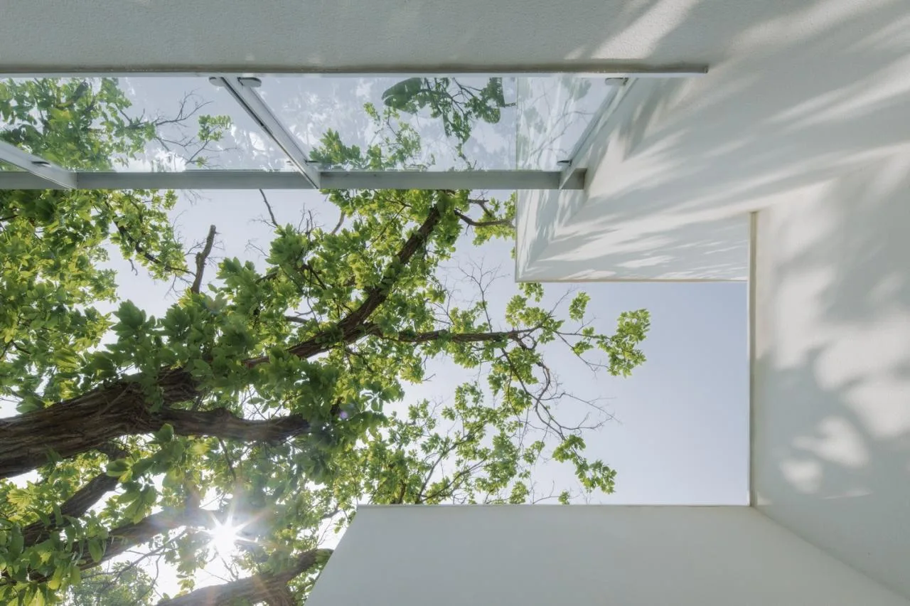 BIM Architecture | Yimeng Book House Homestay: Natural Reconstruction and Symbiosis under Chestnut Grove/Grey Space Architecture Firm