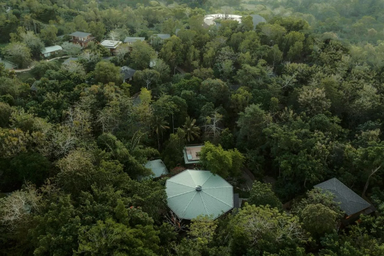 BIM Architecture | Octagonal Restaurant and Work Area/Stilt Studios