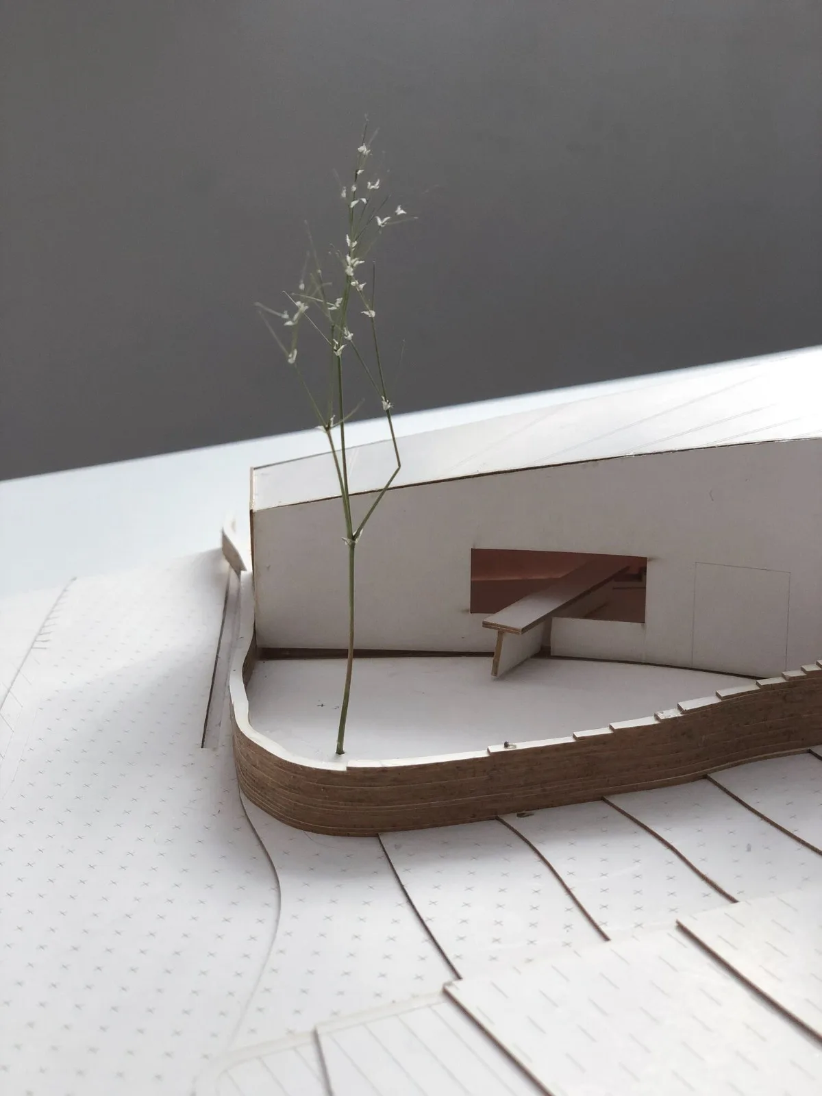 BIM Architecture | Nogal Home/Ra ú l Almenara