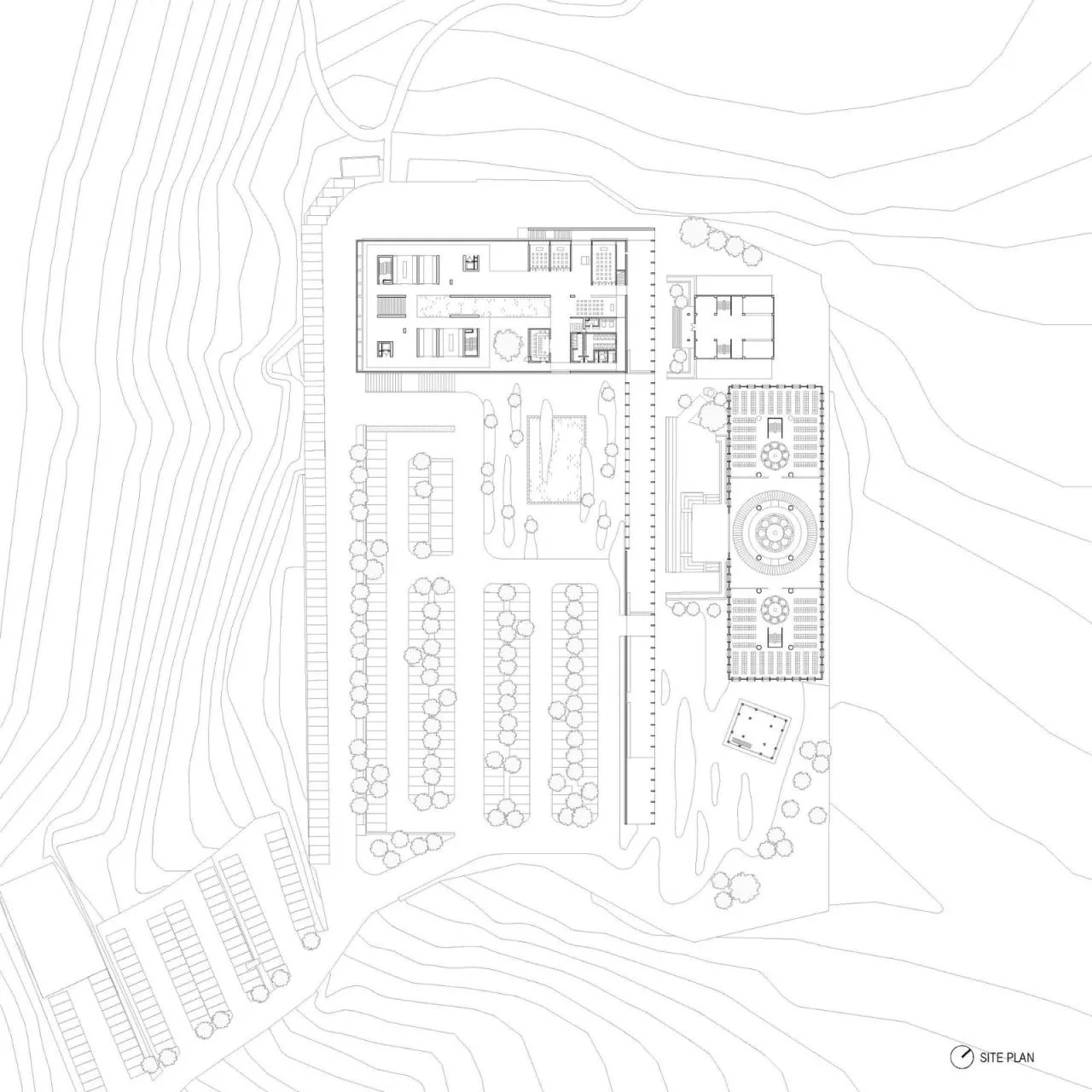 BIM Architecture | Mountain Ash Placement Center/Behet Bondzio Lin Architekten - General Layout Plan