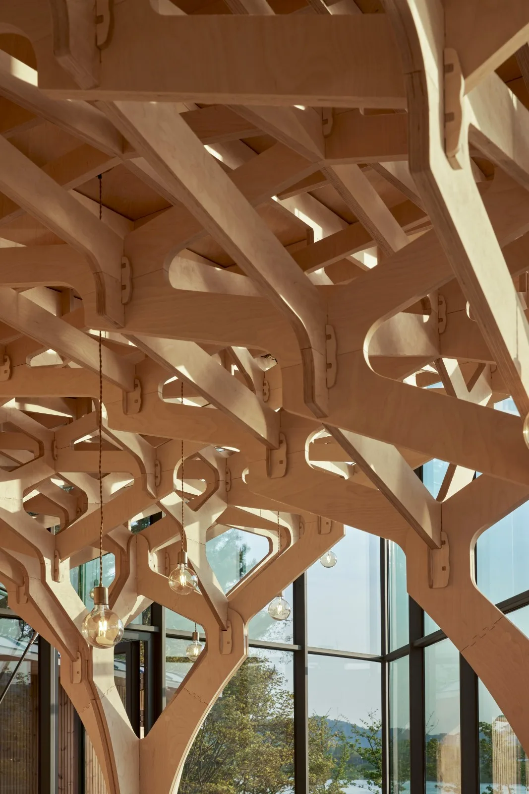 BIM Architecture | Floating Light Pavilion/JK-AR
