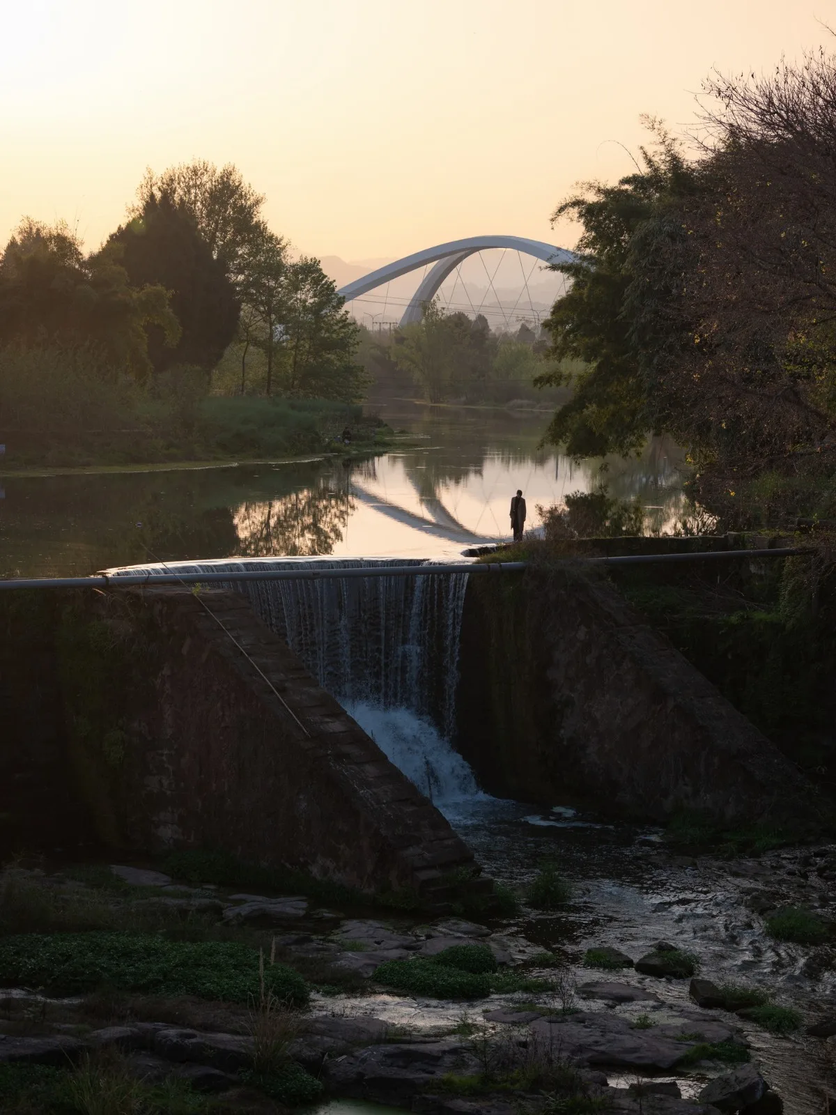 BIM Architecture | Jiangxi River Bridge/Zaha Hadid Architects