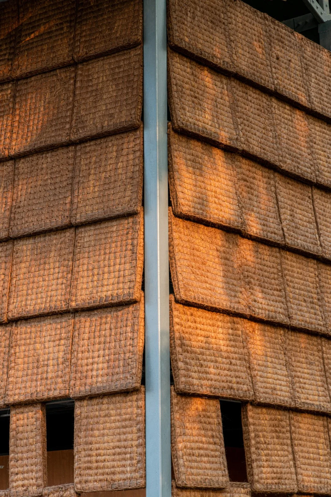 BIM Architecture | Brown Toilet Facing Flower Sea/Row Building