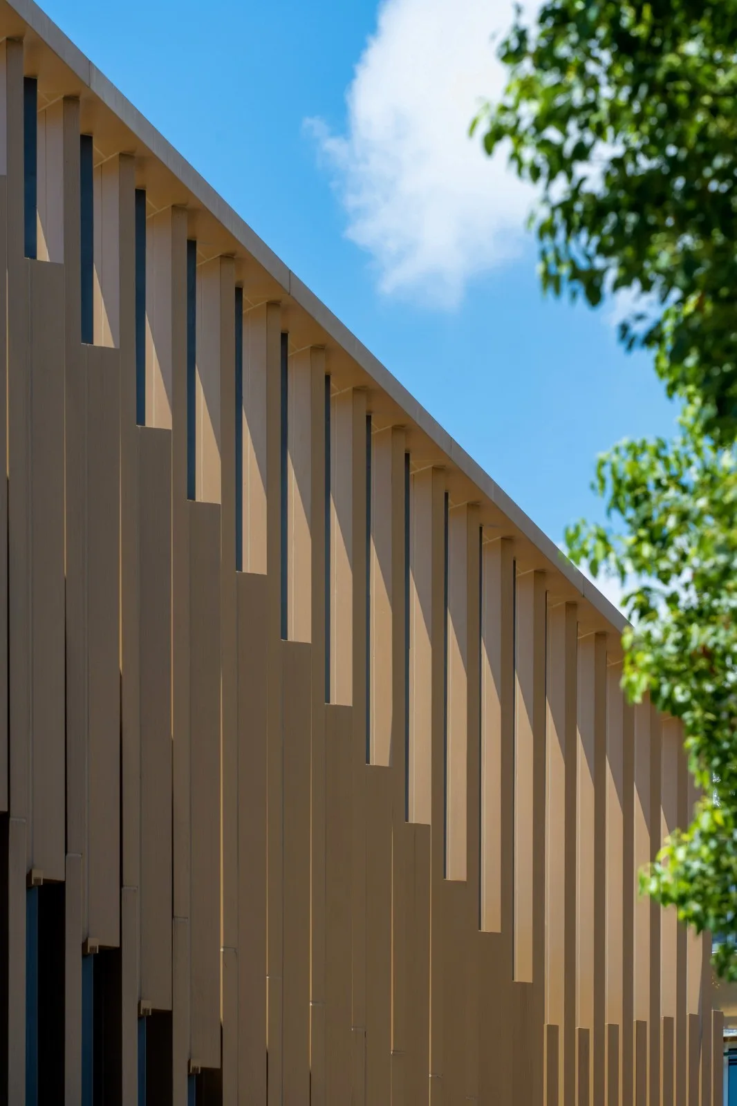BIM Architecture | Yangpu Neighborhood · Zhenyuan: Awakening the Human Touch of Neighborhood Community/Building with Care