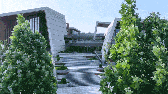 BIM Architecture | Valley of Mountains: Zhengzhou Shenye Health City/Botao Architecture