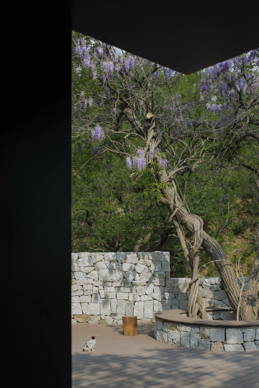 BIM Architecture | Yimeng Book House Homestay: Natural Reconstruction and Symbiosis under Chestnut Grove/Grey Space Architecture Firm