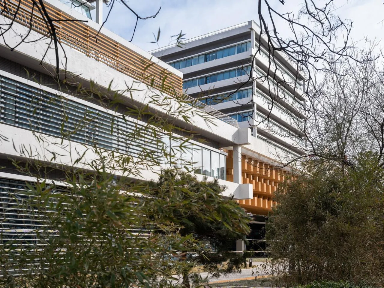 BIM Architecture | Beijing Massage Hospital Expansion Project of China Disabled Persons' Federation/Wang Zhenjun Studio of China Electronics Engineering Design Institute+"Man · Design" Research Center