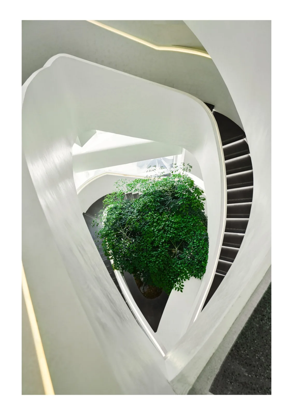 BIM Architecture | Chengdu Tiantou International Community Contemporary Art Center/Shanghai Jinglan Architectural Design Co., Ltd