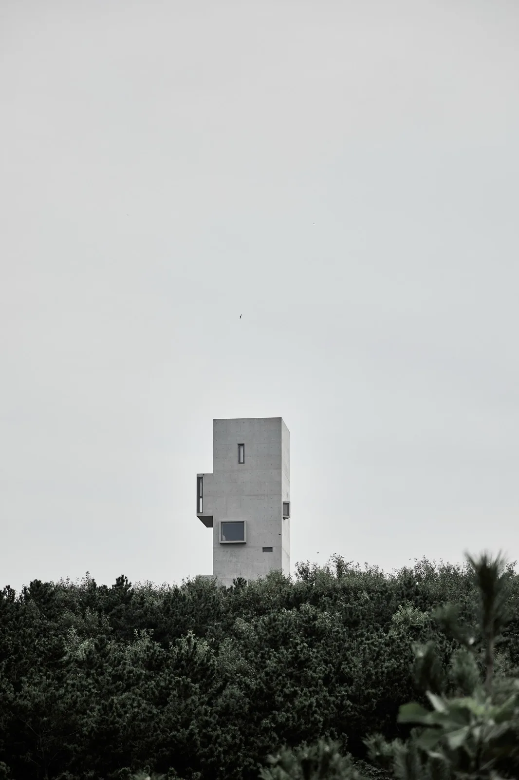 BIM Architecture | Cliff Top Cafe and Tower Residence • Architectural Firm (TAO)