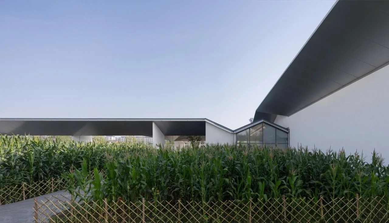 BIM Architecture | Intergrowth: Yu Deyao Art Museum New Building/Landscape Architecture Firm