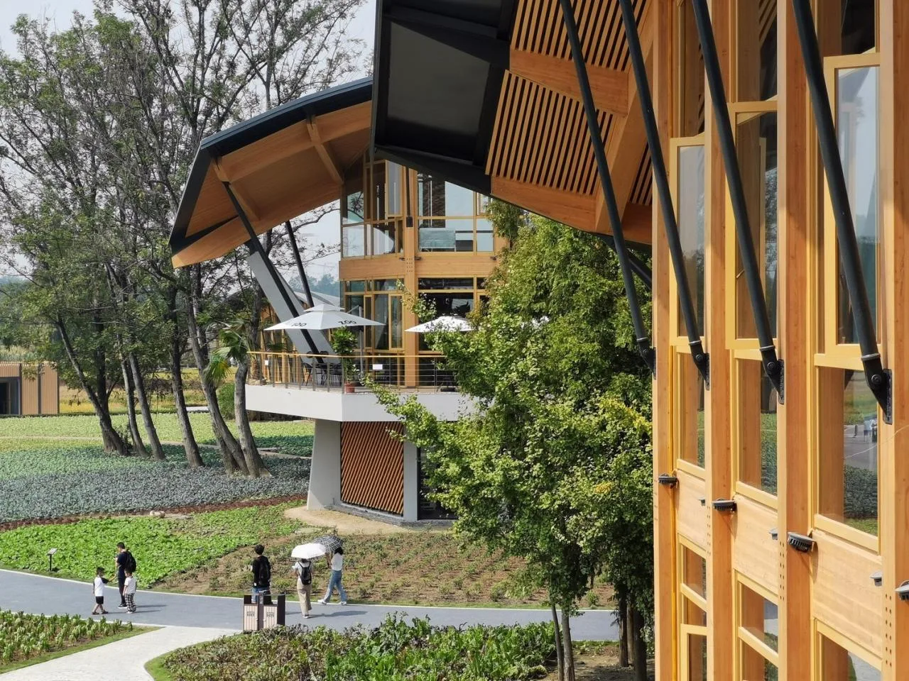 BIM Architecture | Tianfu Agricultural Expo Park Qingmiao/China Construction Southwest Institute