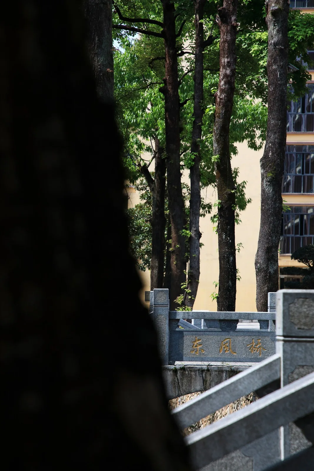 BIM Architecture | A school history museum hidden deep in Yunhe County/Fengjian Architecture Firm