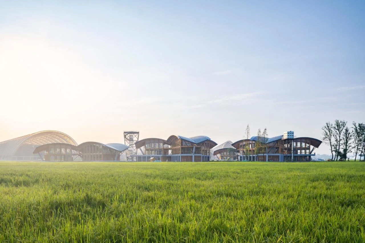 BIM Architecture | Tianfu Agricultural Expo Park Qingmiao/China Construction Southwest Institute