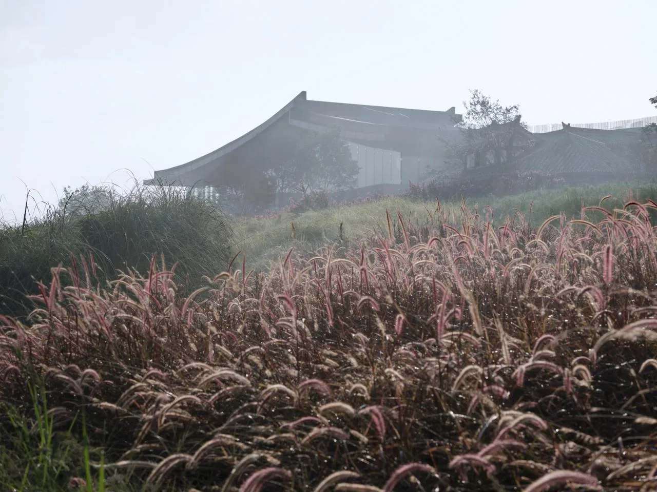 BIM Architecture | Lizhuang Cultural Anti Japanese War Museum/Tongji Original Design Studio
