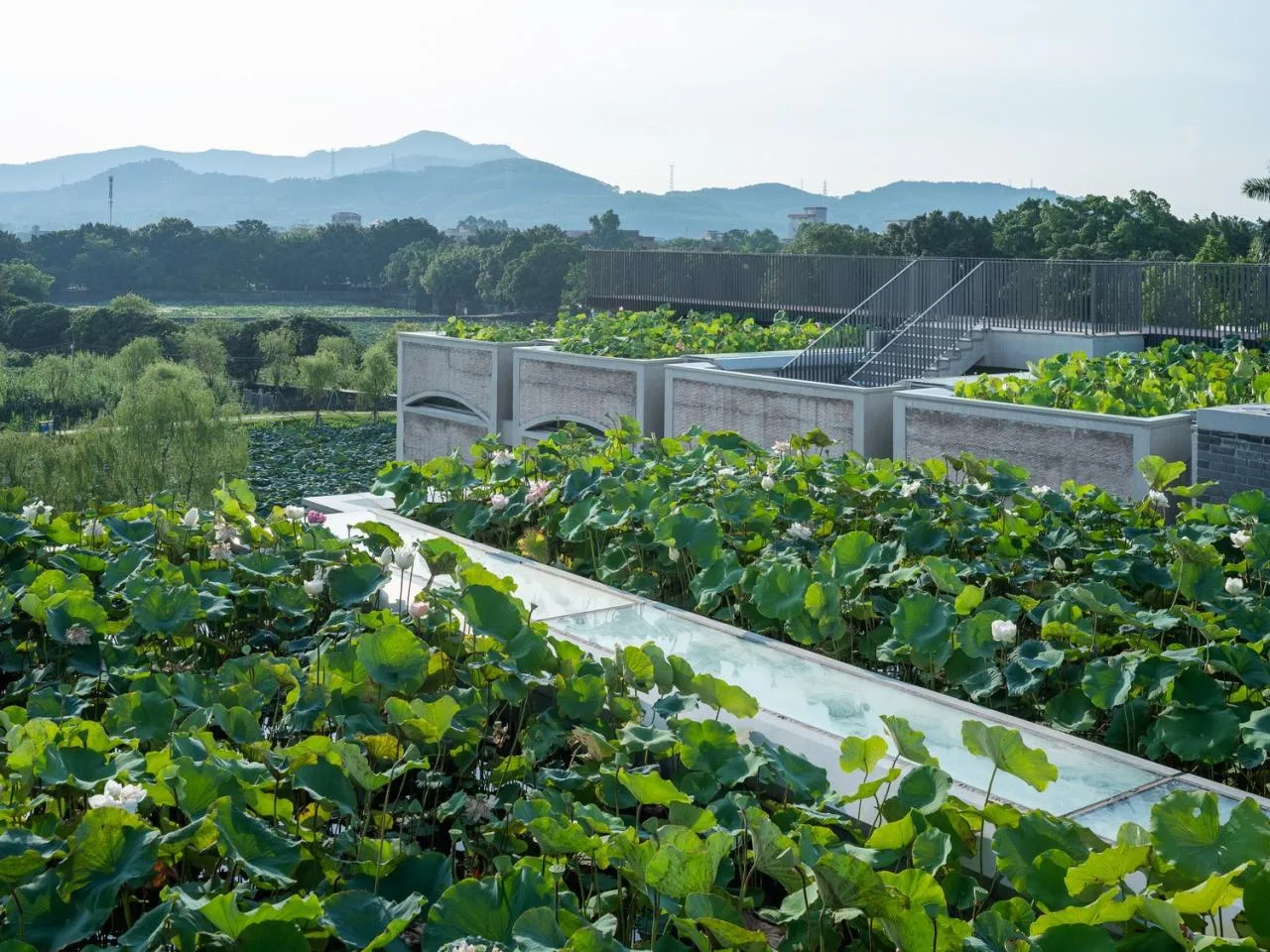 BIM Architecture | Chunyangtai Art and Culture Center/Extraordinary Architecture