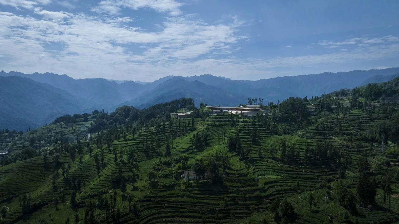 BIM Architecture | Three Gorges Tea Tourism Town Exhibition Center/Architecture Camp Design Studio