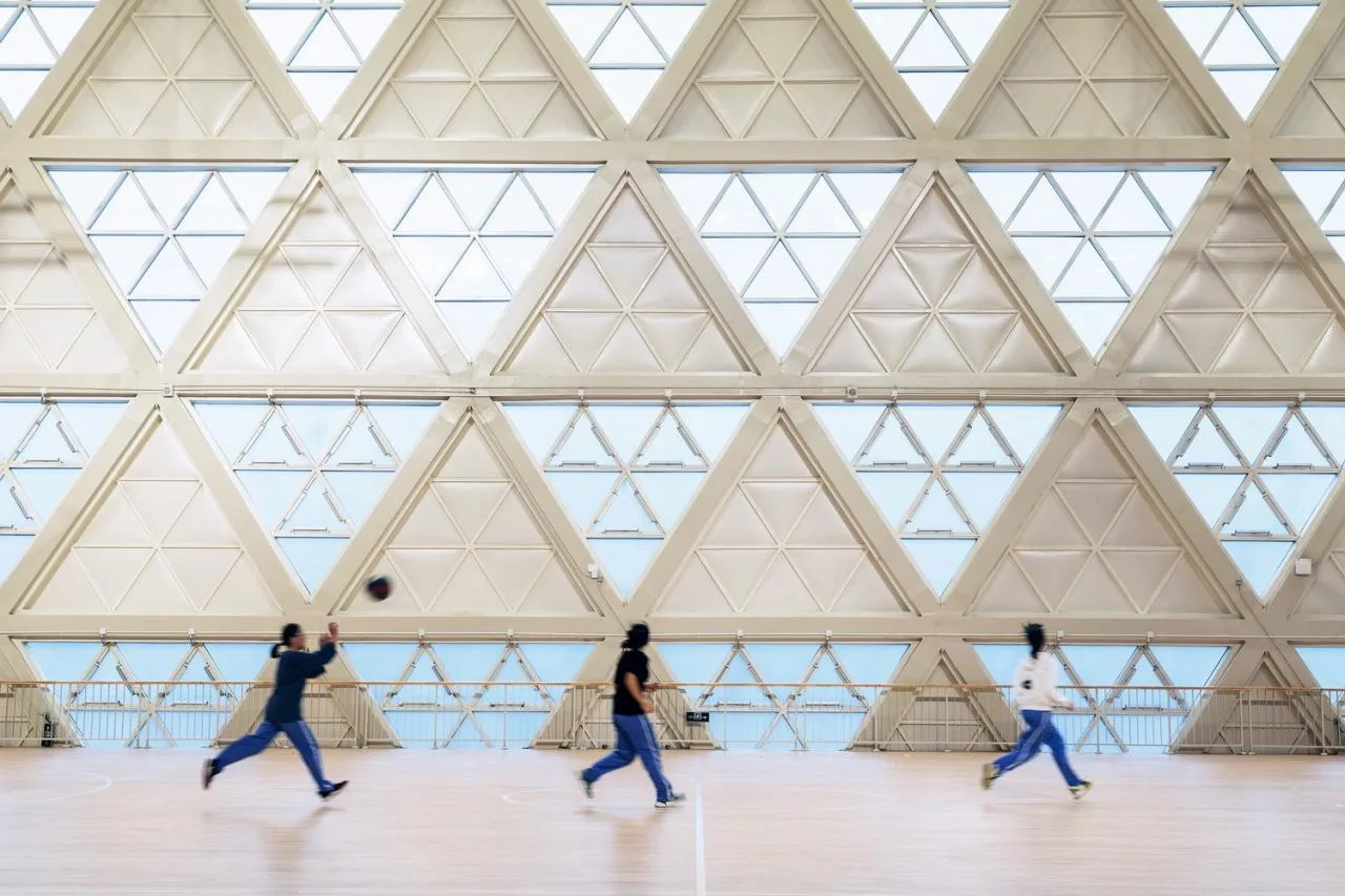 BIM Architecture | Longquan Middle School Gymnasium/China Southwest Architectural Design and Research Institute Co., Ltd