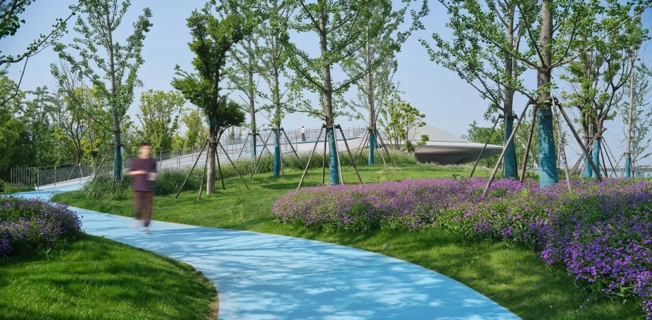 BIM Architecture | Hangzhou Binjiang Public Space · Sanqiao Asian Games Park/Tongji Original Design Studio