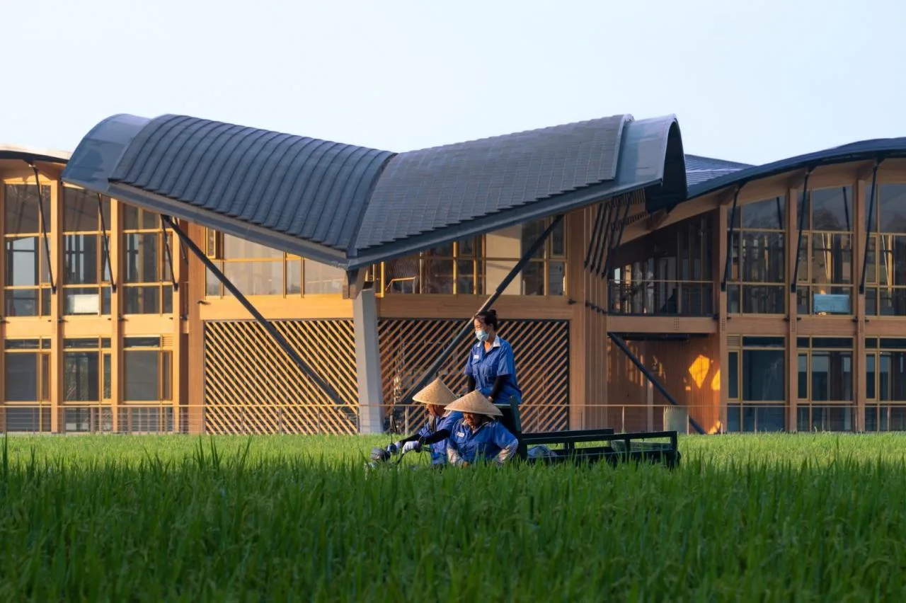BIM Architecture | Tianfu Agricultural Expo Park Qingmiao/China Construction Southwest Institute