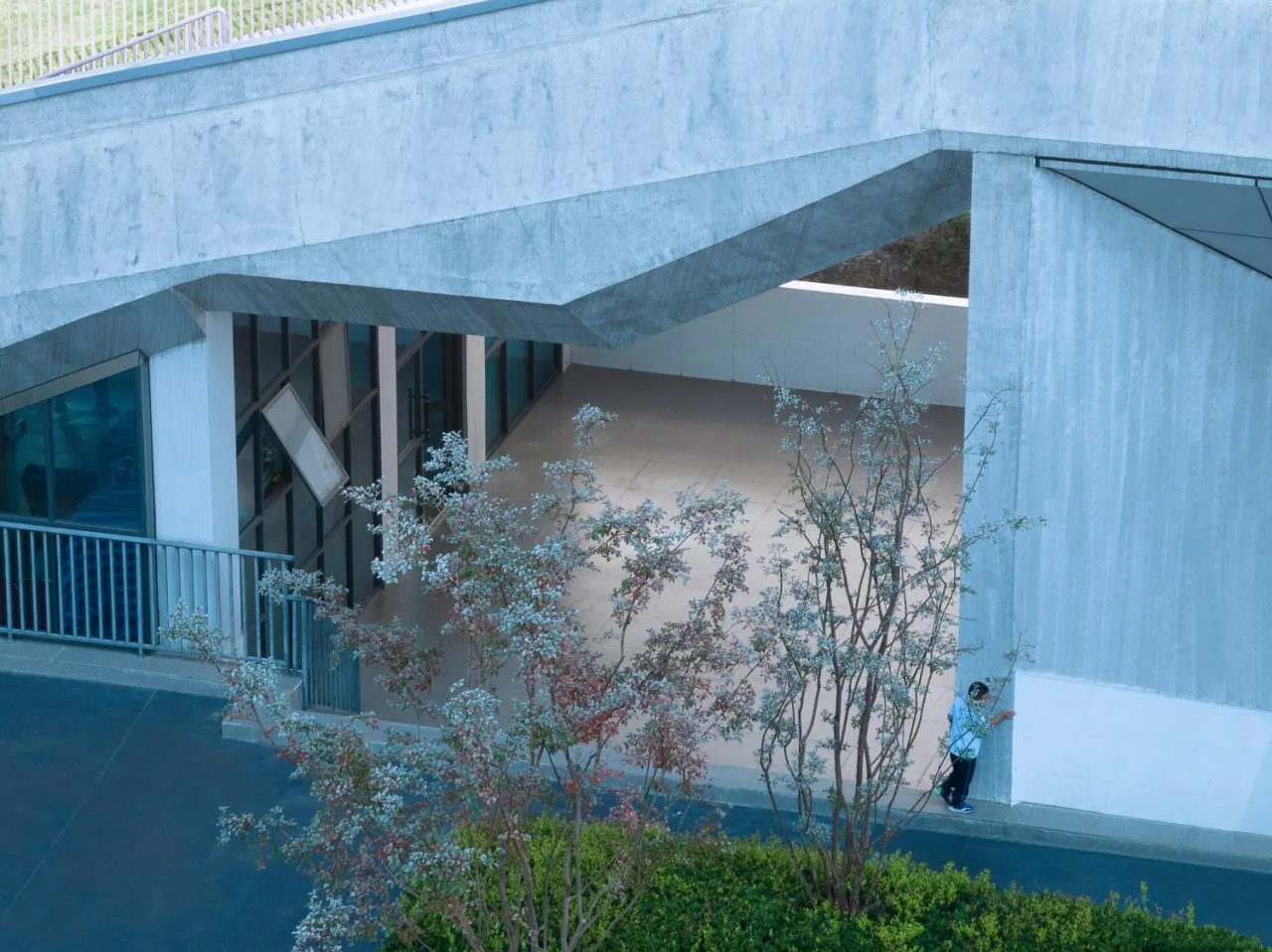 BIM architecture | Growing freely like organic life: Guanshanhu District No.8 Middle School, Guiyang