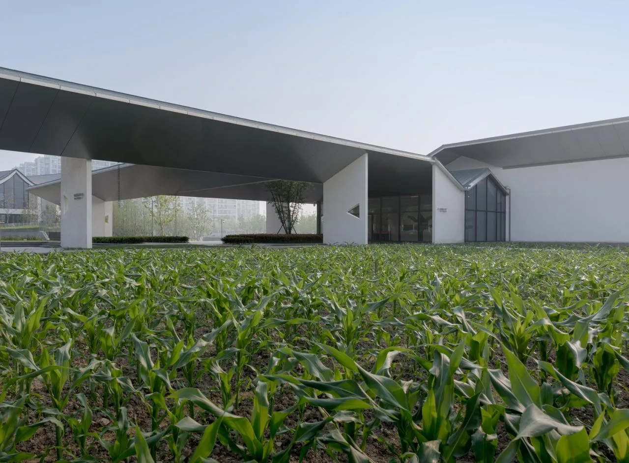 BIM Architecture | Intergrowth: Yu Deyao Art Museum New Building/Landscape Architecture Firm