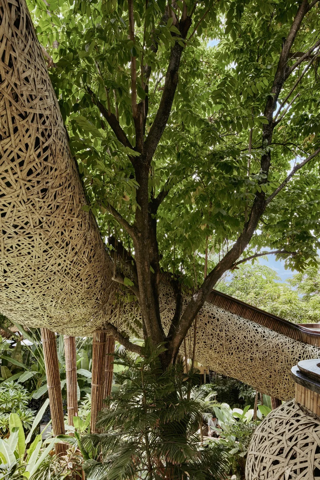 BIM Architecture | Chunwuli/Fangtang Design