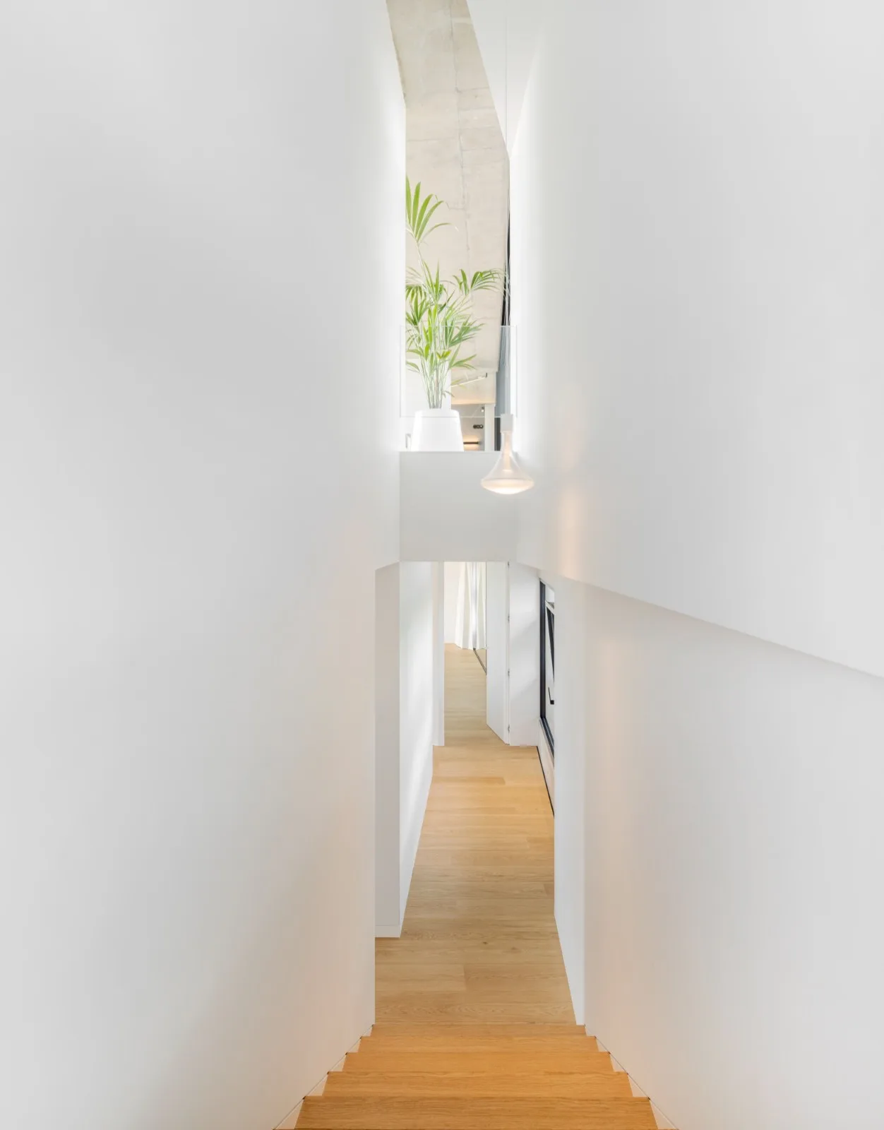 BIM Architecture | Quinta do Rei Residential / Contaminate Architects