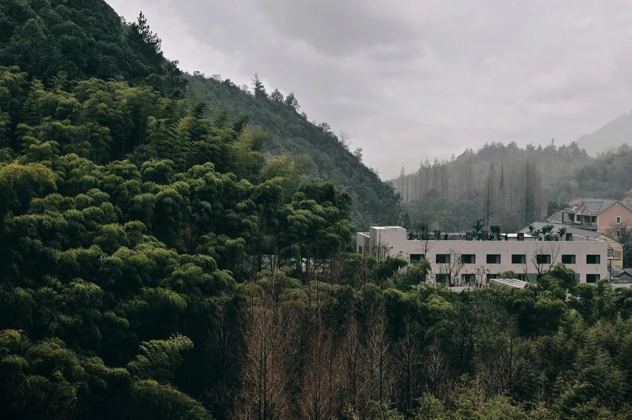 BIM Architecture | Hangzhou Qingshan Youth Community/Building Design