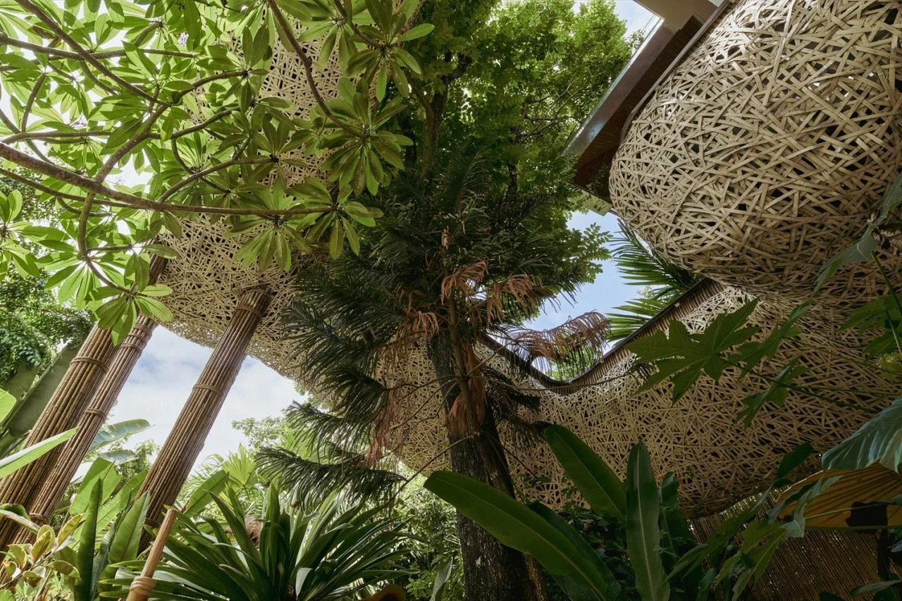 BIM Architecture | Chunwuli/Fangtang Design