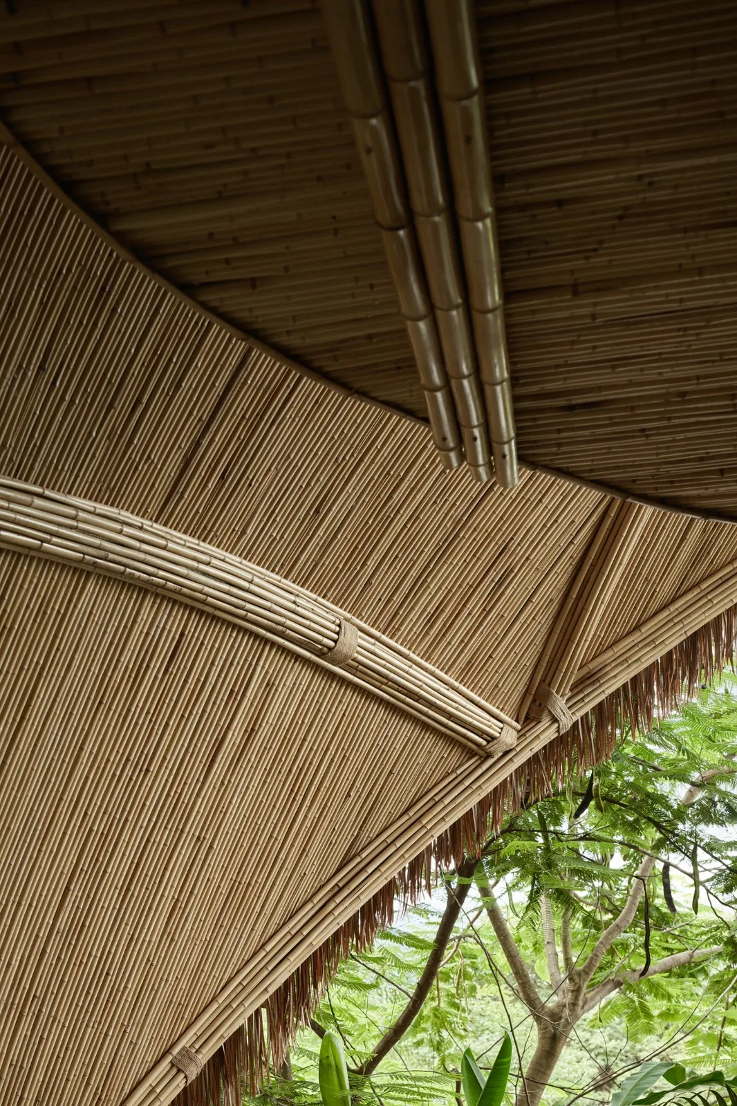 BIM Architecture | Chunwuli/Fangtang Design