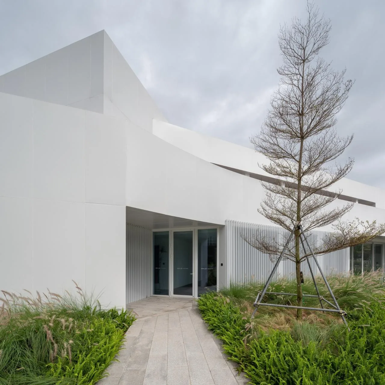 BIM Architecture | Shenzhen Central Park Command Center/One Tree Building