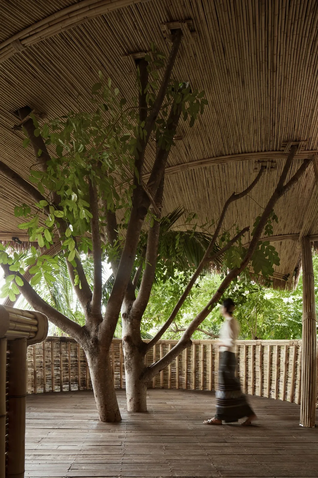 BIM Architecture | Chunwuli/Fangtang Design
