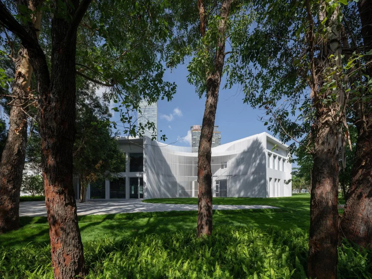 BIM Architecture | Shenzhen Central Park Command Center/One Tree Building