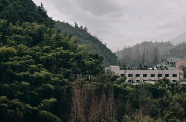 BIM Architecture in Action: Hangzhou Qingshan Youth Community Design-BIM WORLD