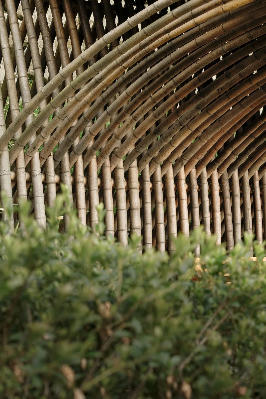 BIM Architecture | Qingshui Tea House/Behet Bondzio Lin Architekten