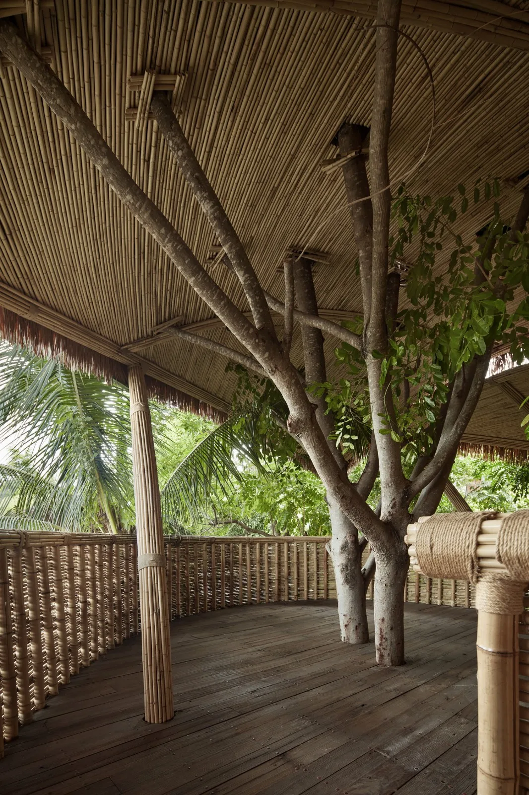 BIM Architecture | Chunwuli/Fangtang Design