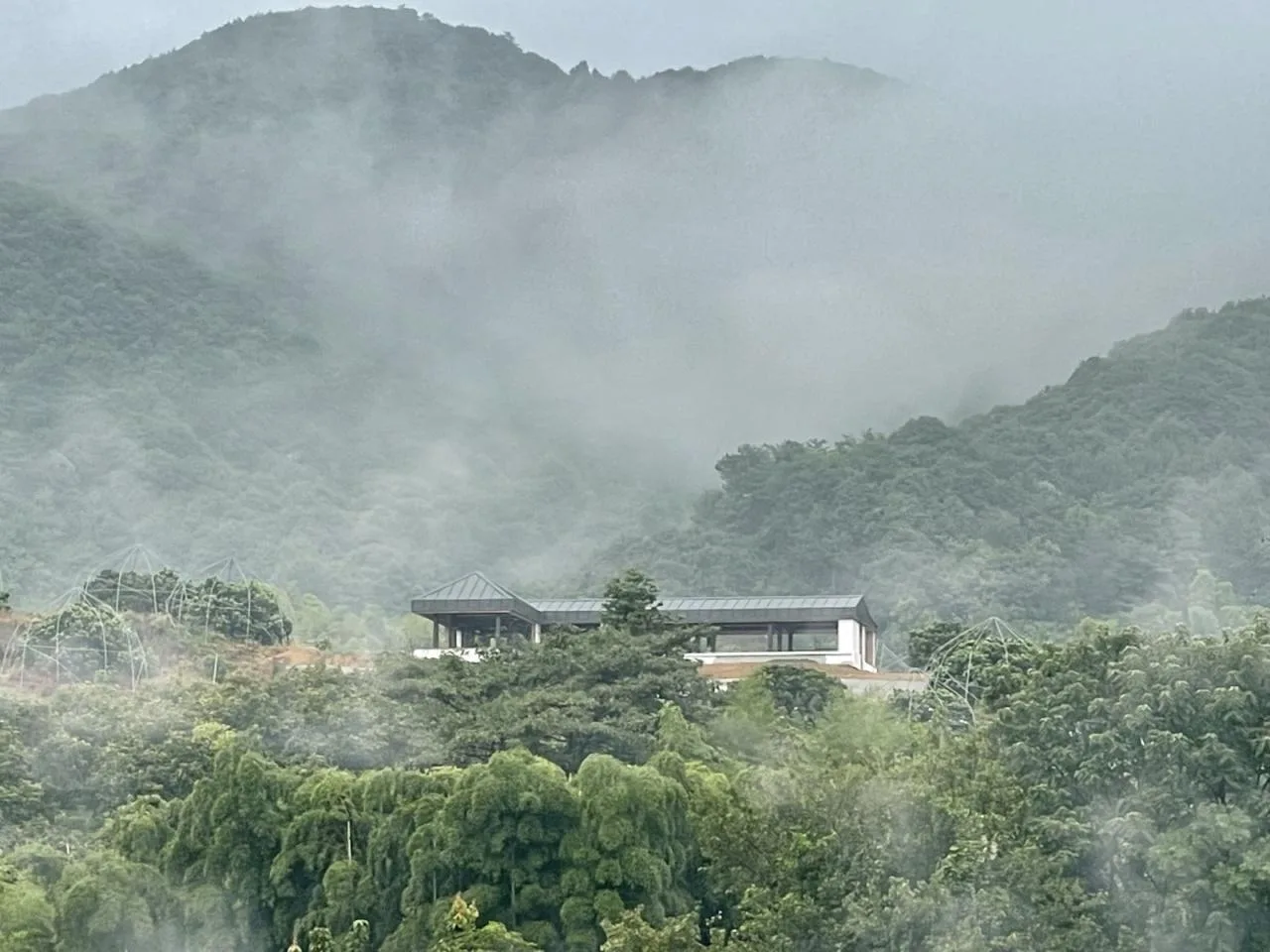 BIM Architecture | Shanye Tea Cafe/Pingjie Design at the foot of Siming Mountain